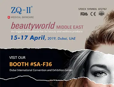 Изложба во Дубаи 4.15-17